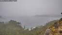 ./images/calvert/foggy-cove/20260317/foggy-cove20260317_115001M.jpg