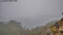 ./images/calvert/foggy-cove/20260317/foggy-cove20260317_120002M.jpg