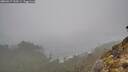 ./images/calvert/foggy-cove/20260317/foggy-cove20260317_125501M.jpg
