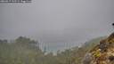 ./images/calvert/foggy-cove/20260317/foggy-cove20260317_132502M.jpg