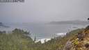 ./images/calvert/foggy-cove/20260318/foggy-cove20260318_084002M.jpg