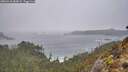 ./images/calvert/foggy-cove/20260318/foggy-cove20260318_085001M.jpg