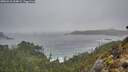 ./images/calvert/foggy-cove/20260318/foggy-cove20260318_094002M.jpg
