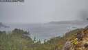 ./images/calvert/foggy-cove/20260318/foggy-cove20260318_095001M.jpg