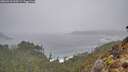 ./images/calvert/foggy-cove/20260318/foggy-cove20260318_103501M.jpg