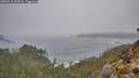 ./images/calvert/foggy-cove/20260318/foggy-cove20260318_104501M.jpg
