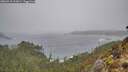 ./images/calvert/foggy-cove/20260318/foggy-cove20260318_111001M.jpg
