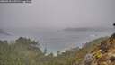 ./images/calvert/foggy-cove/20260318/foggy-cove20260318_112501M.jpg