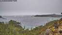 ./images/calvert/foggy-cove/20260318/foggy-cove20260318_123501M.jpg