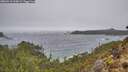 ./images/calvert/foggy-cove/20260318/foggy-cove20260318_124502M.jpg