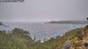 ./images/calvert/foggy-cove/20260318/foggy-cove20260318_132501M.jpg