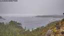 ./images/calvert/foggy-cove/20260318/foggy-cove20260318_133501M.jpg
