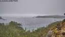 ./images/calvert/foggy-cove/20260318/foggy-cove20260318_134001M.jpg