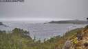 ./images/calvert/foggy-cove/20260318/foggy-cove20260318_135001M.jpg