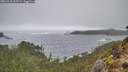 ./images/calvert/foggy-cove/20260318/foggy-cove20260318_135502M.jpg
