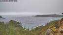 ./images/calvert/foggy-cove/20260318/foggy-cove20260318_140001M.jpg