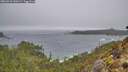 ./images/calvert/foggy-cove/20260318/foggy-cove20260318_140501M.jpg