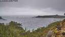 ./images/calvert/foggy-cove/20260318/foggy-cove20260318_144001M.jpg