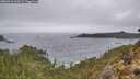 ./images/calvert/foggy-cove/20260318/foggy-cove20260318_144501M.jpg