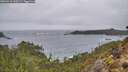 ./images/calvert/foggy-cove/20260318/foggy-cove20260318_145501M.jpg
