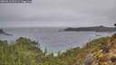 ./images/calvert/foggy-cove/20260318/foggy-cove20260318_152501M.jpg