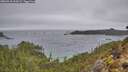 ./images/calvert/foggy-cove/20260318/foggy-cove20260318_153001M.jpg