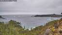 ./images/calvert/foggy-cove/20260318/foggy-cove20260318_153501M.jpg