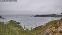 ./images/calvert/foggy-cove/20260318/foggy-cove20260318_154502M.jpg