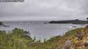 ./images/calvert/foggy-cove/20260318/foggy-cove20260318_162001M.jpg