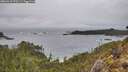 ./images/calvert/foggy-cove/20260318/foggy-cove20260318_170501M.jpg