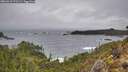 ./images/calvert/foggy-cove/20260318/foggy-cove20260318_171502M.jpg