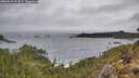 ./images/calvert/foggy-cove/20260318/foggy-cove20260318_172002M.jpg