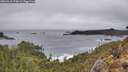 ./images/calvert/foggy-cove/20260318/foggy-cove20260318_174001M.jpg