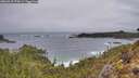 ./images/calvert/foggy-cove/20260318/foggy-cove20260318_174501M.jpg