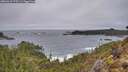 ./images/calvert/foggy-cove/20260318/foggy-cove20260318_175501M.jpg