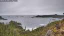 ./images/calvert/foggy-cove/20260318/foggy-cove20260318_183001M.jpg