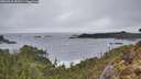 ./images/calvert/foggy-cove/20260318/foggy-cove20260318_183501M.jpg