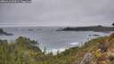 ./images/calvert/foggy-cove/20260318/foggy-cove20260318_184502M.jpg