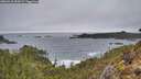 ./images/calvert/foggy-cove/20260318/foggy-cove20260318_185001M.jpg