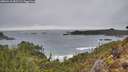 ./images/calvert/foggy-cove/20260318/foggy-cove20260318_185501M.jpg