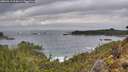 ./images/calvert/foggy-cove/20260319/foggy-cove20260319_095001M.jpg
