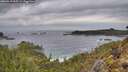 ./images/calvert/foggy-cove/20260319/foggy-cove20260319_095501M.jpg