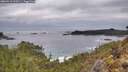 ./images/calvert/foggy-cove/20260319/foggy-cove20260319_100501M.jpg