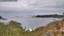 ./images/calvert/foggy-cove/20260319/foggy-cove20260319_103501M.jpg