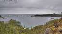 ./images/calvert/foggy-cove/20260319/foggy-cove20260319_115001M.jpg