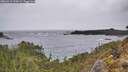 ./images/calvert/foggy-cove/20260319/foggy-cove20260319_120501M.jpg