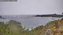 ./images/calvert/foggy-cove/20260319/foggy-cove20260319_121002M.jpg