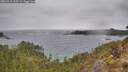 ./images/calvert/foggy-cove/20260319/foggy-cove20260319_123501M.jpg