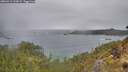 ./images/calvert/foggy-cove/20260319/foggy-cove20260319_125001M.jpg