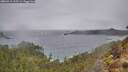 ./images/calvert/foggy-cove/20260319/foggy-cove20260319_125501M.jpg